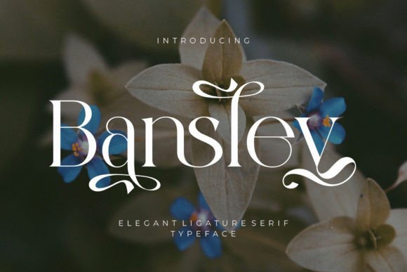 Bansley: The Elegant Ligature Serif for Modern Brand Identity