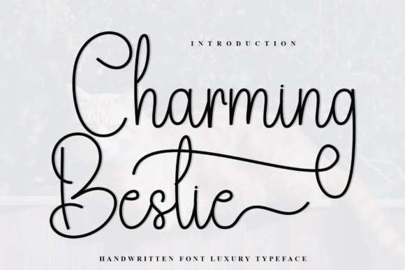 Charming Bestie: A Handwritten Typeface Review for Modern Branding
