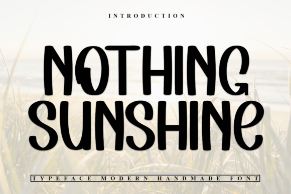 Nothing Sunshine: A Delicate Display Font for Modern Brand Identity