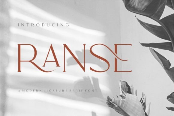Ranse: The Elegant Serif Typeface for Handmade Branding