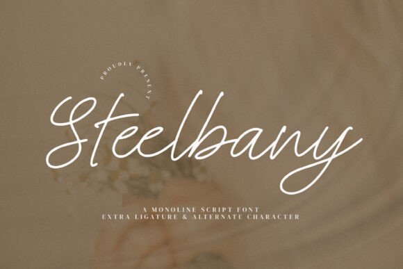 Steelbany: Elevating Digital Brand Identity with Elegant Script Typography