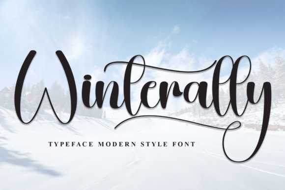 Winterally: A Designer’s Honest Review of This Script Amp